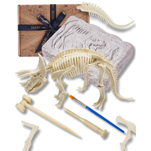 Fossil Dig Kit - Triceratops