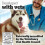 Pedigree Dentastix Light 35 Sticks Dental Chews Small Dog 5