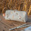 Nature Pencil Case 3