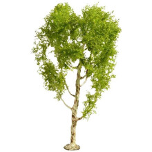 NOCH 20125 Albero betulla pubescente 210 mm 1 pz