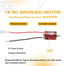 RC Brushed Motor, 540 High Torsion Low Noise Motor 75T-4000rpm 3.17mm D Daxis with 60A Brushed ESC for RC Car