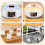 Misvayli Probiotic Yoghurt Maker, 5 Glass Jar Fermentation Machine with 40°C Default Temp, 8H Timer, Adjustable Settings for Yogurt, Natto 3