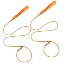 2pcs 1.8M Small Dog Slip Lead for Training, Adjustable and Comfortable for All Breeds B