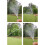 Bocal de Latão de Alta Pressão de 4 Polegadas para Regar e Irrigar Jardins, Lavar Carros e Limpar Móveis. 6