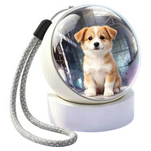 1.65 in Sphere Digital Photo Video Display 5.4, Portable Custom Picture Video Electronic Keychain Lanyard