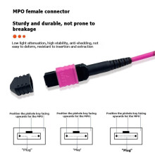 MPO Fiber Optic Patch Cord OM4 12Core Fiber Optic Cable Female to Female MPO-MPO Multi Mode Optical Fiber Cable 8M