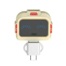 Voice Control Device USB Type C Input 5V Output Brightness Speed Setting USB Voice Switches Type C Control Switches