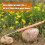 3PCS Weed Puller Tool, Hand Weeding Tools for Garden Plants, Loose Soil & Drip Irrigation Gardening Hand Tools 5