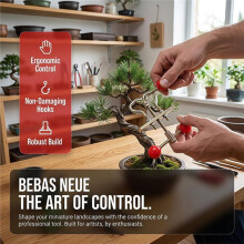 2 Outils pour Bonsaï : Écarteur de Branches, Outil de Taille Professionnel pour Bonsaï