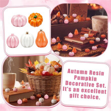 Kleine Nep-Pompoenen in Bulk, Roze, Wit en Oranje Tinten, Pompoen voor Decoratie, Knutselprojecten, Vaasvulling, Tafeldecoratie