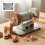 Electric Bench Grinder  Bench Grinder Small Polishing Machine Variable Rotation Regulation US Plug 1