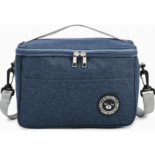 5.5L Insulated Cooler Bag, Small Foldable Lunch Bag, Portable Picnic Tote, Blue, 24 x 14 x 17 cm