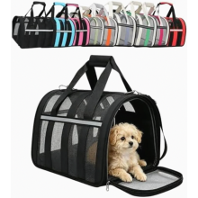 Borsa da trasporto pieghevole per animali domestici, borsa portatile in rete traspirante per cani e gatti fino a 10 kg, resistente e leggera