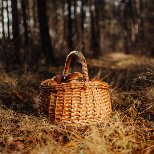 Creative Home Großer Picknickkorb Weidenkorb mit Henkel Einkaufskorb 1