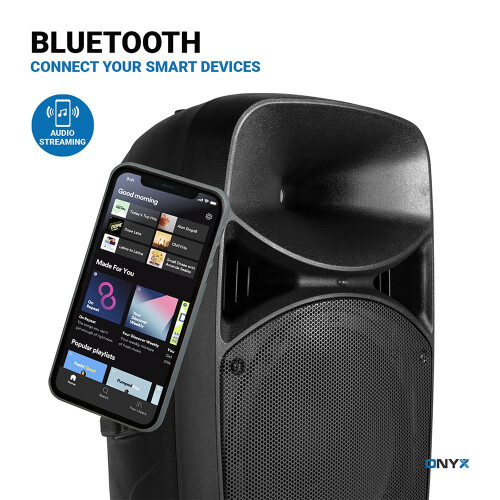 Bluetooth DJ Speaker PA System with Stands, Microphone Mobile Disco 800W Powered 2