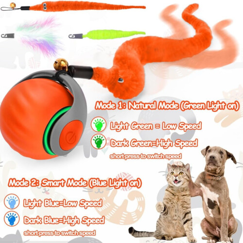 Interactive Cat Toy Ball with Feather Tail, Automatic Rolling Motion, Smart Indoor Enrichment for Cat Stimulation, Orang 2