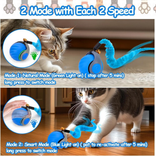 Interactive Cat Toy Ball with Feather Tail, Automatic Rolling Motion, Smart Moving Toy for Indoor Cat Stimulation 1