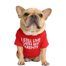 Süßes Hundeshirt für mittelgroße Hunde und Welpen, weich und bequem für Mädchen und Jungen