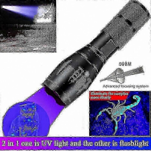 Dual light source charging white light purple 395UV flashlight fluorescent lamp UV curing banknote and jade detection lamp