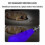 Dual light source charging white light purple 395UV flashlight fluorescent lamp UV curing banknote and jade detection lamp 5