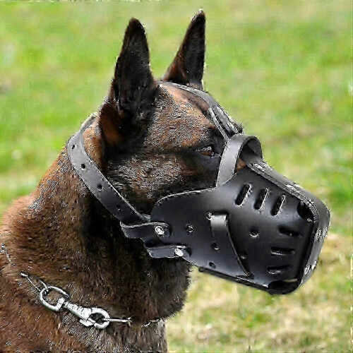 Black Adjustable Leather Muzzle Compatible with German Shepherd Malinois for Biting 1