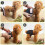 Dog Diapers - Pack of 3 - Washable - Comfortable - Waterproof 2