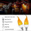 Decorative 3W E14 LED Bulb with Flame Effect 4