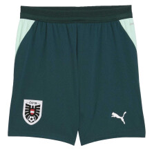 (9-10 Years, Green/Mint) Puma Childrens/Kids World Cup 2026 Austria FC Away Shorts