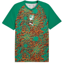 (L, Green) Puma Mens World Cup 2026 Ivory Coast FC Football Shirt