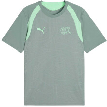 (L, Green/White) Puma Mens World Cup 2026 Switzerland FC Football Shirt