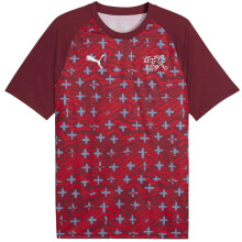 (XL, Red/White) Puma Mens World Cup 2026 Switzerland FC Short-Sleeved Football Shirt
