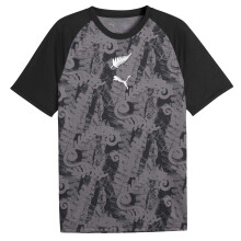 (L, Black/Silver) Puma Mens World Cup 2026 New Zealand Football Shirt