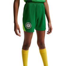 (11-12 Years, Green/White) Nike Childrens/Kids Fifa World Cup 2026 Nigeria FC Football Shorts