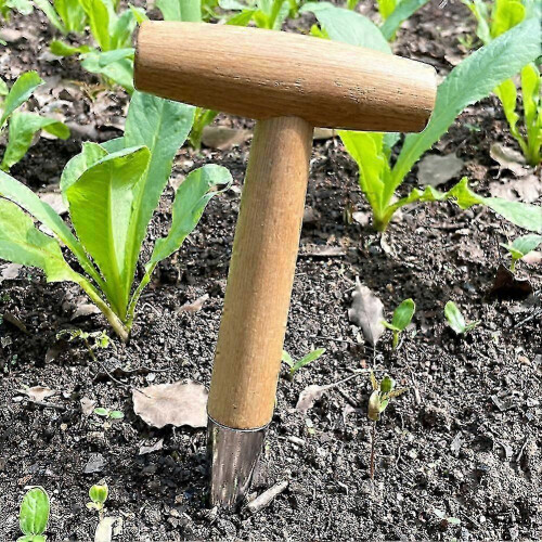 Garden Seeder Multifunctional Small Planting Tool Gardening Tools 1