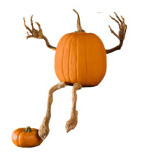 Poseable Pumpkin Arms and Legs Decoration Set for Indoor Outdoor Home and Party Supplies