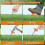 Estacas de Tenda Pesadas de 7 Polegadas - Pacote com 10, Âncoras de Metal com Cabeça Laranja de Alta Visibilidade para Camping 6