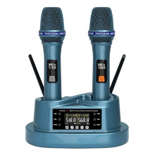 Microfono Wireless Portatile Ricaricabile con Batteria al Litio Integrata e per Karaoke e Palcoscenici.