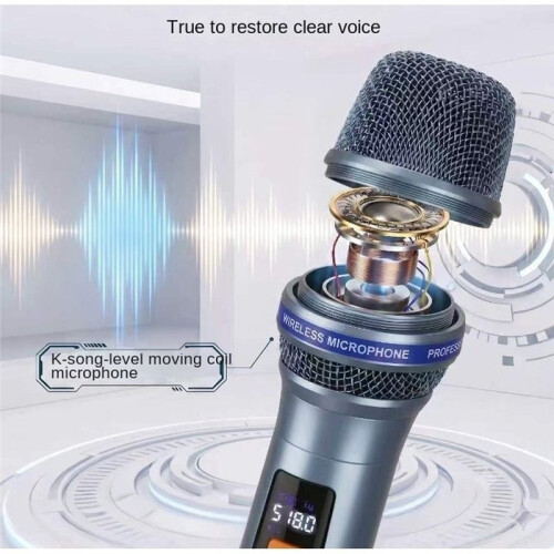 Microfono Wireless Portatile Ricaricabile con Batteria al Litio Integrata e  per Karaoke e Palcoscenici. 2