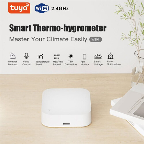 Thermo-Hygrometer Tuya WiFi Temperature & Humidity Sensor APP Remote Control 1