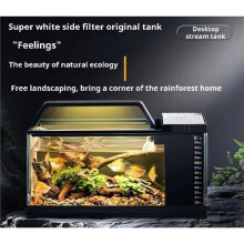 Transparentes, Integriertes Aquarium mit Selbstzirkulation, Ökologisches Aquarium für Den Schreibtisch, für Den Haushalt