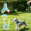 Reflective Dog Harness Set No-Pull Step-in Vest for Small Dogs A 6