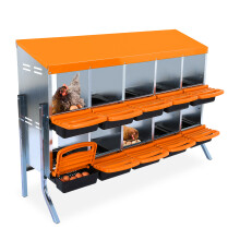 Niche à ponte pour poules en acier galvanisé, 10 compartiments avec plateau roulant et pieds, Orange