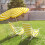 Parasol gazonpaal 3