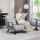 4-in-1 Velvet-Feel Double Sofa Bed, with Pillows - Light Grey 3
