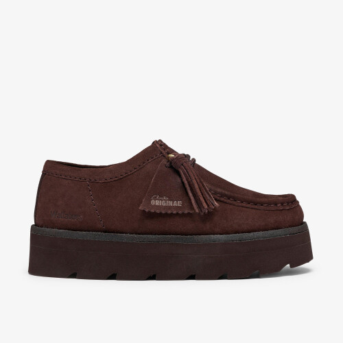 Clarks (Standard, 7 (Adults')) Meare Walla. Chocolate Sde