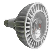 Ampoule LED COB PAR38 30 W AC85-265 V, Projecteur Remplaçant une Ampoule Halogène de 70 W, Option Blanc Naturel 4000 K
