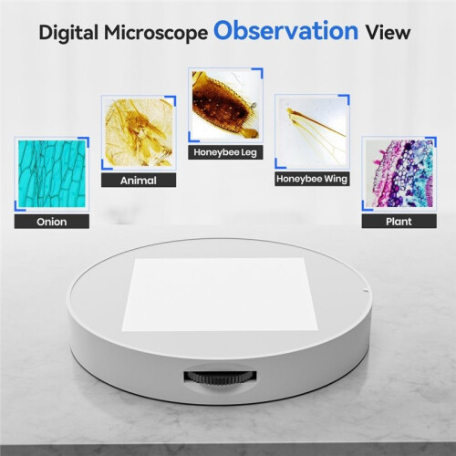 Microscope Universal Transmitted LED Light Bottom Light Stage Holder Adjustable Lamp Illumination for USB LCD Microscope 2
