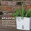 Fresh Herb Keeper Storage for Refrigerator Storage for Herbs & Vegetables for Fridge 5
