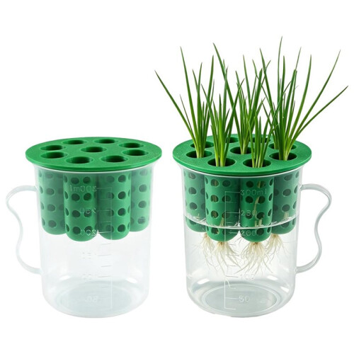 Green Onion Planter Scallion Regrower Sprouting 2 Green Onion Grower Container & 2 Plastic Cup with Handle for Window