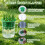 Green Onion Planter Scallion Regrower Sprouting 2 Green Onion Grower Container & 2 Plastic Cup with Handle for Window 2